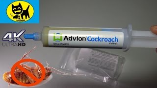 /Advion Cockroach Gel Bail Follow up   Is it still the best?  4K WORKS!  LINK UPDATED 8/2021