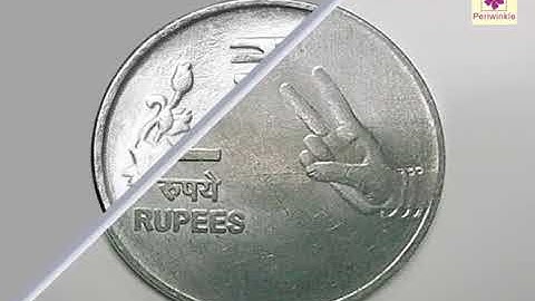 Currency | Environmental Studies Grade 4 | Periwinkle