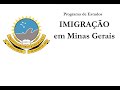 Imigração em Minas Gerais - Imigração libanesa na ficção brasileira contemporânea