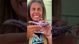 O Gênio Da Lâmpada