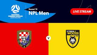 NPL Men Round 19 - Gold Coast Knights vs. Wynnum Wolves