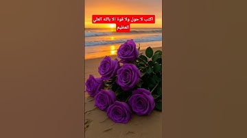 #قرآن #اكسبلور #لايك #دويتو #peace #flowers #cat #ترند #art #تيك_توك #تلاوة_خاشعة#قران_كريم #تيك_توك