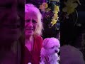 Your Neighbor Won’t Believe What This Luna Doorbell Camera Caught 👀 The Luna Video Doorbell Camera