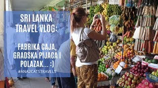 Sri Lanka vlog: gradska pijaca i caj od cokolade :)