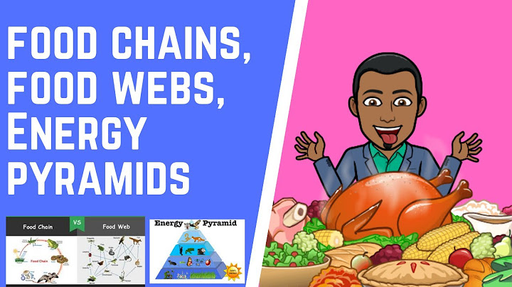 Food chains and webs whats for dinner