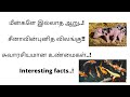 சுவாரசியமான உண்மைகள்...!PART-2    #shorts                            interesting facts short video.