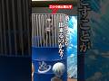 YouTuberってマジで大変やねん