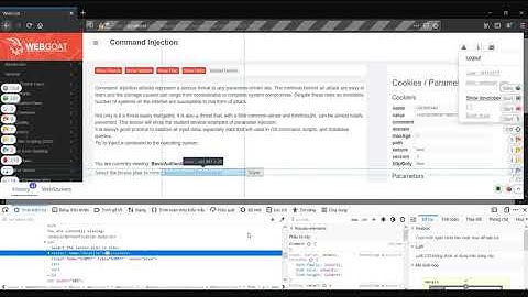 [WebGoat 7 - Injection Flaws] Command Injection