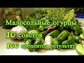 Рецепт малосольных огурцов. 10 СОВЕТОВ. 100% результат.