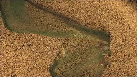 River Geomorphology (14) - Oblique Bend Incision, View Upstream, Closeup