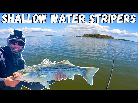 Chesapeake Bay HOTSPOTS For Summer Striped Bass | INCREDIBLE Striper Bite!