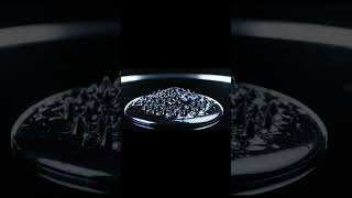​The Most Satisfying 08 Seconds... 🌑 (Wait for the Morph)