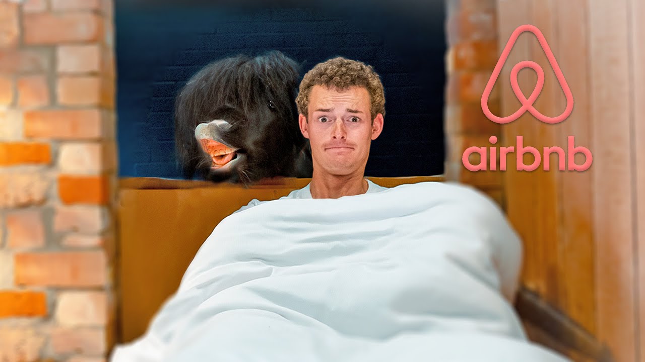 I Stayed in an AIRBNB with a Miniature Horse