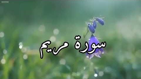 تلاوة خاشعة تريح النفس لى سورة مريم بصوت القارئ أحمد العجمي مع اجمل منظر طبيعي