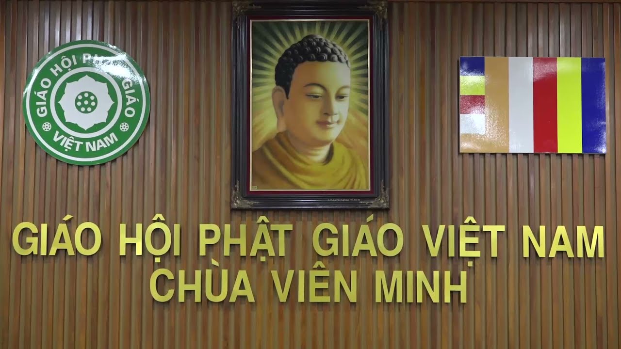 Quan Tài Của Đại Lão HT. Thích Phổ Tuệ Độc Lạ Thường Và Những Hình Ảnh Linh Thiêng Khi Nhập Kim Quan