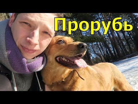 Серебрянный бор, ледяная вода, прорубь, тери и кошка.