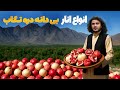 هی میدان طی میدان دیدار باسط ایرج از دره زیبای تگاب 