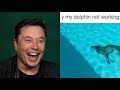 Elon Musk Dead Deer Meme