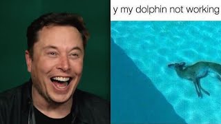 Elon Musk finds \