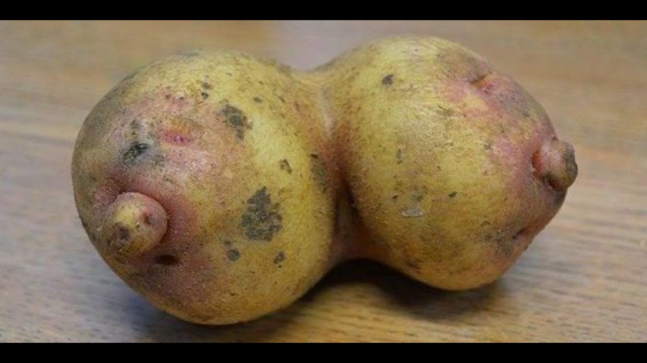 weird shaped fruits and vegetables - youtube