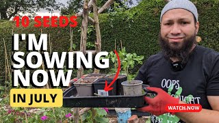 Vegetable Seeds To Sow In July - Seeds I'm Sowing Now by My Family Garden 5,512 views 10 months ago 12 minutes, 48 seconds
