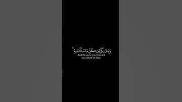 ( وآتاكم من كل ما سألتموه ) كرومة شاشة سوداء بصوت الشيخ #خالد_الجليل #سورة_إبراهيم | القرآن الكريم