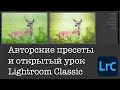 10 пресетов для Lightroom Classic скачать бесплатно, открытый урок и новости