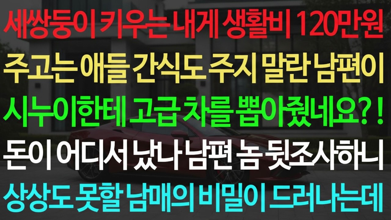 실화사연 세쌍둥이 키우는 내게 생활비 120만원 주고는 애들 간식도 주지 말란 남편이 시누이한테 고급 차를 뽑아줬네요 !  실화사연 신청사연 사이다썰 반전사연 사연라디오