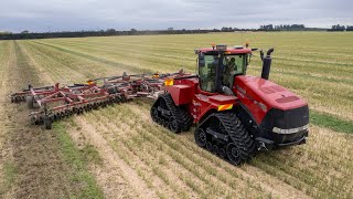 Case IH 600 QUADTRAC Discing Canola