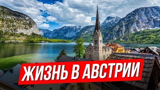 Иммиграция в Австрию, уровень жизни, плюсы и минусы. Интервью