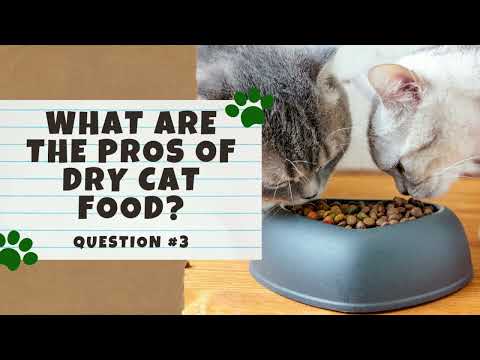 Wet Vs Dry Cat Food Which Is Better Pros And Cons 