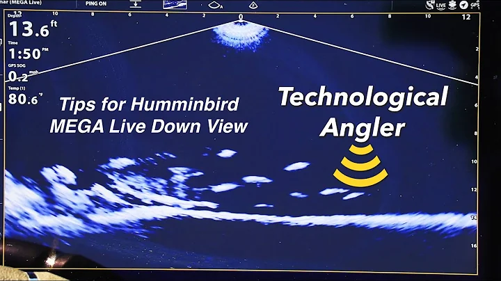 Tips for Humminbird MEGA Live Imaging Down Mode | The Technological Angler
