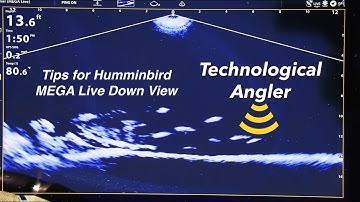 Tips for Humminbird MEGA Live Imaging Down Mode | The Technological Angler