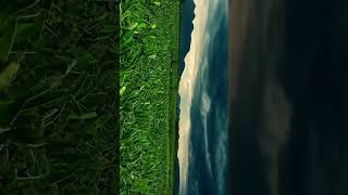 Aao Na  Adnan Sami And Asha Bhosle  Avinash Mishra And Eisha Singh  nature  love shorts song