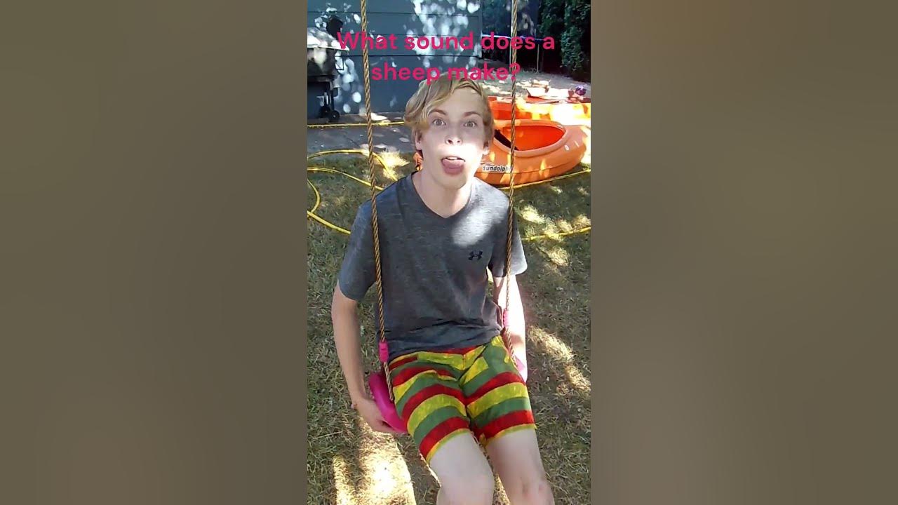 What sound does a sheep make? YouTube