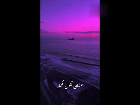 اصالة اي حاجة حالات واتس