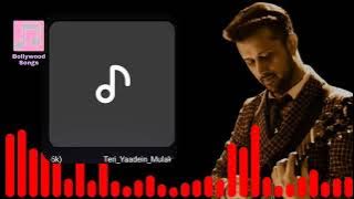 Teri yaadein mulakatein // Atif aslam best Bollywood song