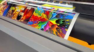 Fedar, Skycolor are on the show!