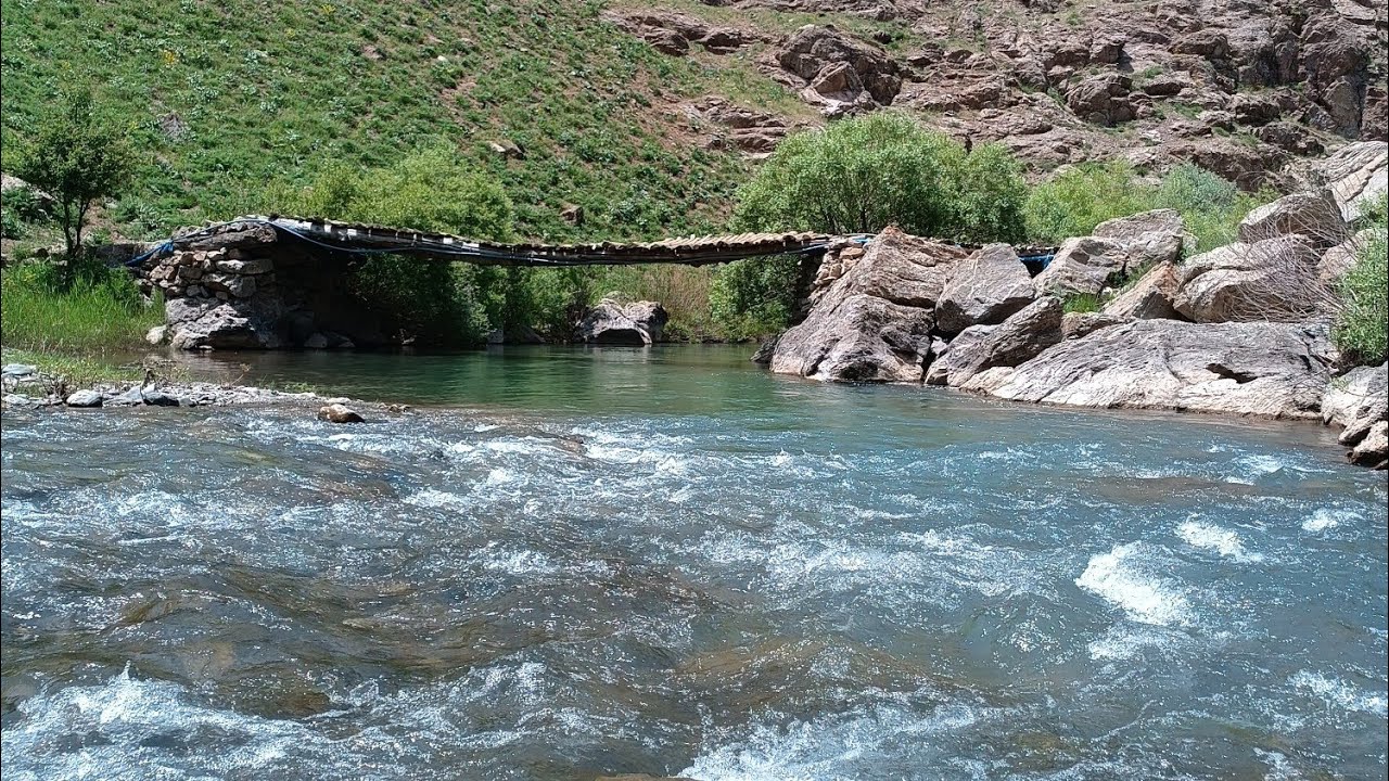 Cennet gibi bir ortamda serpme ile balık avı. #alabalık #fishing #nature #balık #wildlife #balıkavı