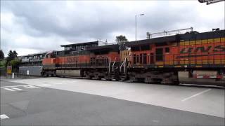 Five BNSF Paint Schemes in 20 Minutes, feat. H1! 6/20/14