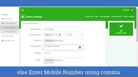 How to Send Bulk Whatsapp | Bulk Whatsapp Messages | API | Nettyfish Solutions