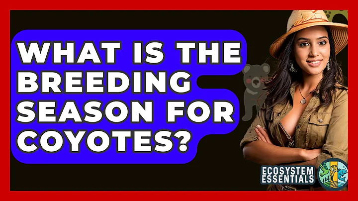 What Is The Breeding Season For Coyotes? - Ecosystem Essentials