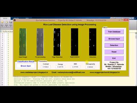 Matlab Project on Rice Leaf Disease Detection full source code