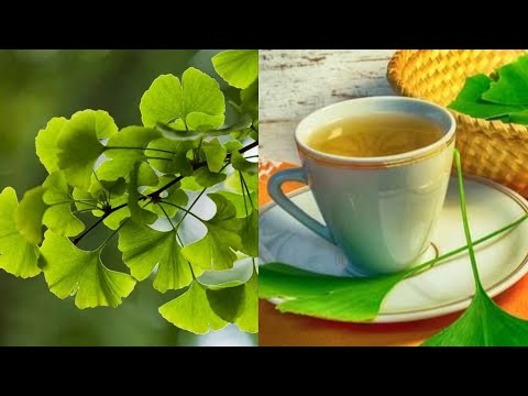 Video: Ginkgo Biloba - O Plantă Ornamentală și Medicinală