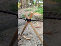 tying like this is suitable for the garden #knot #tipspraktis #shorts #fyp #youtubeshorts