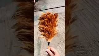 Buying A Feather Duster