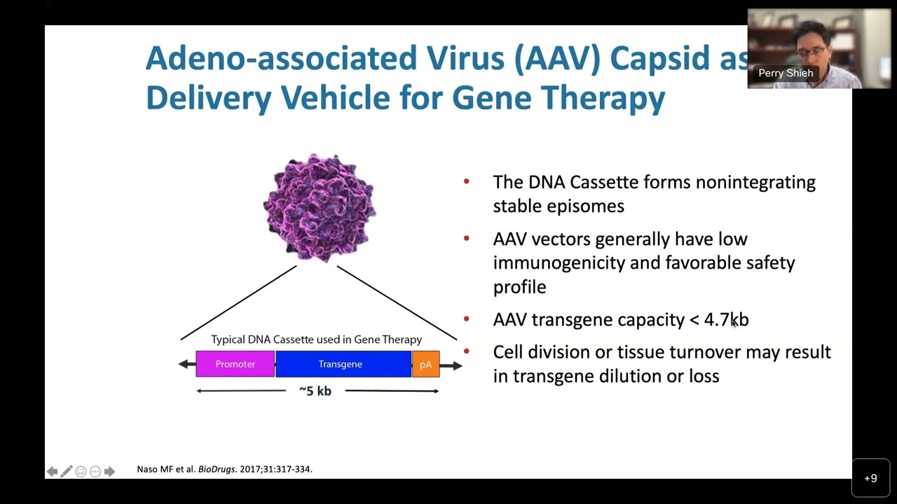 Gene Therapy For DMD How It Works And The Ongoing Clinical Trials YouTube Gene Therapy For DMD How It Works And The Ongoing Clinical Trials YouTube
