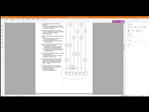 Test Valores Allport aplicación y calificación