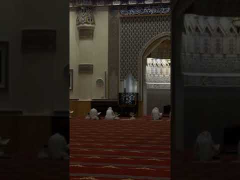 ما أجمل المسجد الأعضم