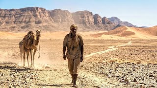 He Walked for Miles to Return Home After 17 Years | Movie Explained In Hindi/Urdu